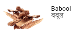 babool6-removebg-preview